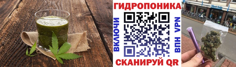 Cannafood конопля  хочу наркоту  Новодвинск 
