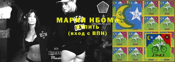 стаф Алзамай