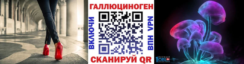 мориарти телеграм  Новодвинск  Псилоцибиновые грибы Magic Shrooms 